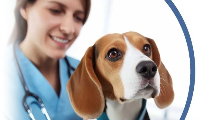 Laboratory Workshop Banner